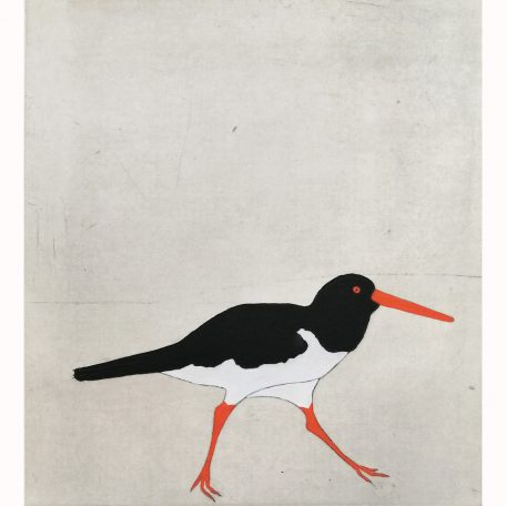 1970C Oystercatcher 11/30 - Kate Boxer