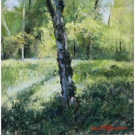 2052C Spring Birch Tree – David Hunt
