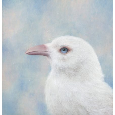 2028C Albino Crow - Louise Crabb