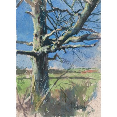 2018C Old Bones - Jonathan Walker