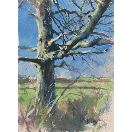 2018C Old Bones - Jonathan Walker