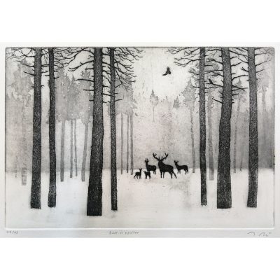 2064C Deer in Winter - Tim Southall