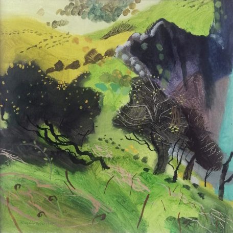 2086C Exmoor Cliffs  - Mark Rochester