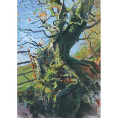 2016C The Old Boundary - Jonathan Walker