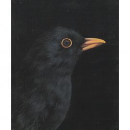 2029C Blackbird – Louise Crabb