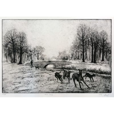 2066C Mad Dogs - Tim Southall