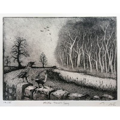 2070C Mistle Thrush Song - Tim Southall