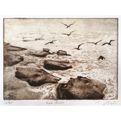 2071C Sea Birds - Tim Southall