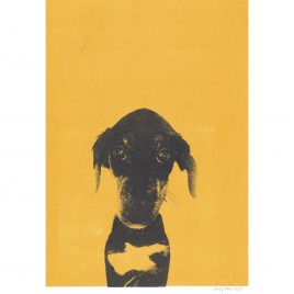 0256C Hound Puppy 8/20 – Sally Muir