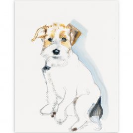 0364C Wire Haired Terrier – Sally Muir
