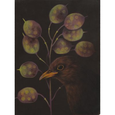 2180C Blackbird and Honesty - Louise Crabb