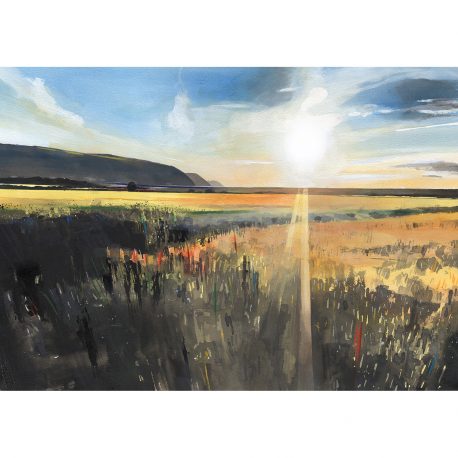 Barley Field – Porlock Marsh