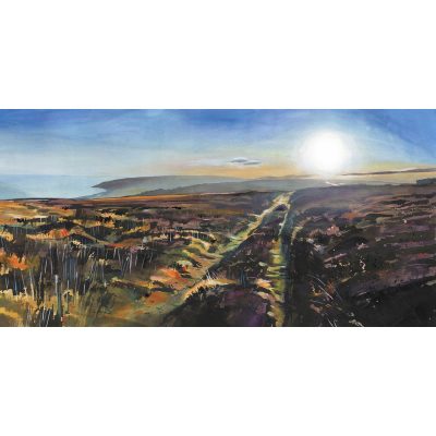 2192X Hurlstone Point from Porlock Hill - Leo Davey
