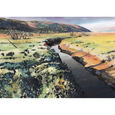 2189X Porlock Marsh - Leo Davey