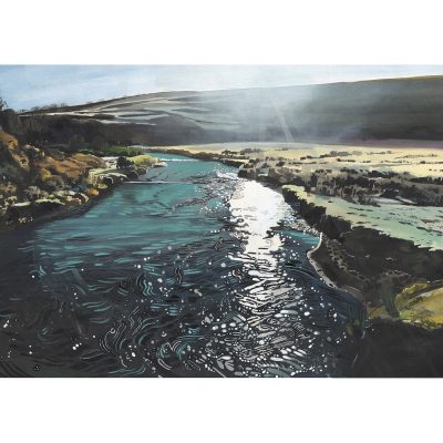 2256X Barle at Landacre Bridge - Leo Davey