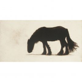 2250C Northumberland Horse 25/55 – Helen Fay