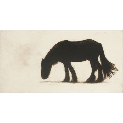 2250C Northumberland Horse 25/55 - Helen Fay