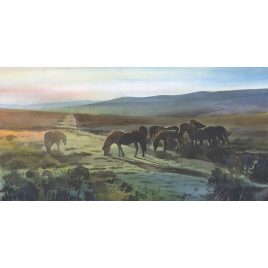 2257X Exmoor Ponies – Leo Davey