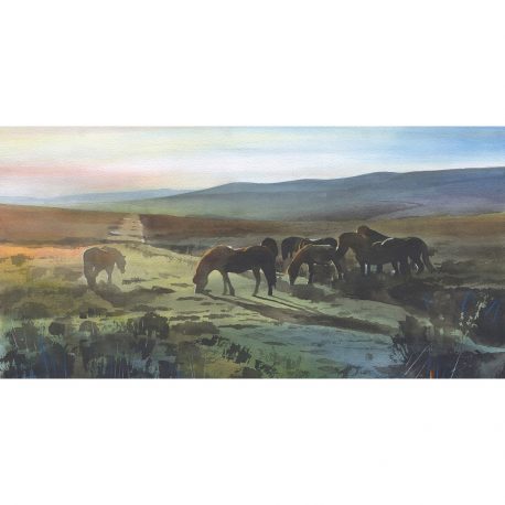 Exmoor Ponies – £99