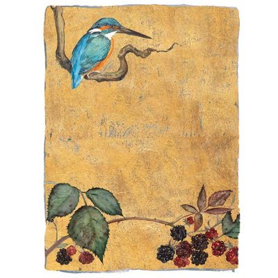 2206X Where the Light Falls - Jackie Morris