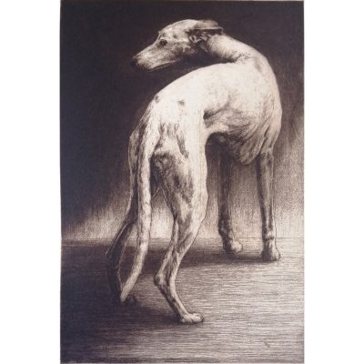 2247C Grace 8/75 - Helen Fay