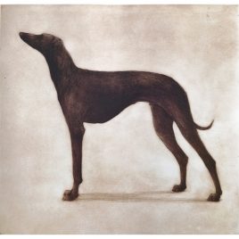 2244C Greyhound 55/55 – Helen Fay