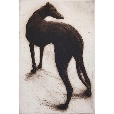 2246C Polly 41/45- Helen Fay