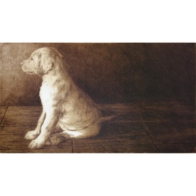 2245C Shakespeare 18/70 - Helen Fay