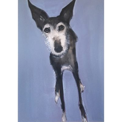 2336C Odin - Sally Muir