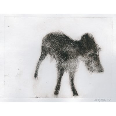 2371C Lurcher - Sally Muir