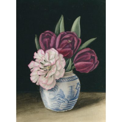2262C Tulips - Jenny Barron