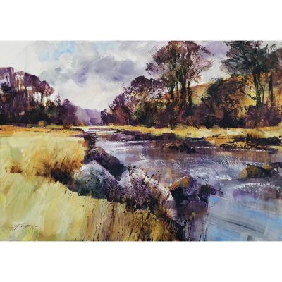 2310C Early spring, Barle valley, Exmoor - Chris Forsey