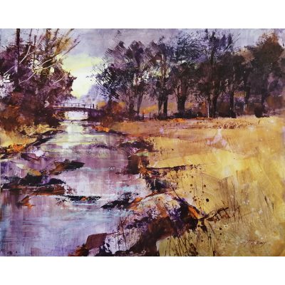 2313C Low sun, Simonsbath - Chris Forsey