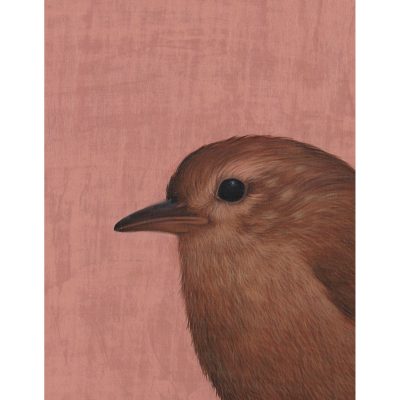 2319C Wren- Louise Crabb