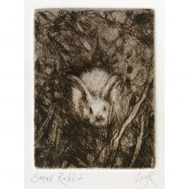2504C Small Rabbit – Ley Roberts