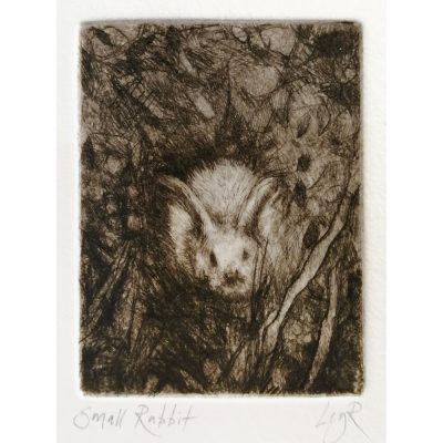 2504C Small Rabbit - Ley Roberts