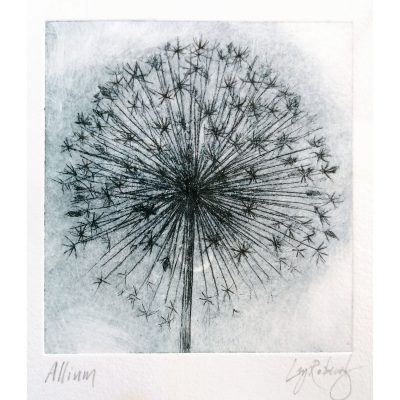 2516C Allium - Ley Roberts