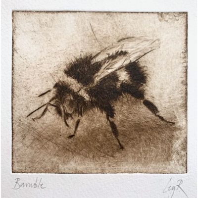 2505C Bumble - Ley Roberts