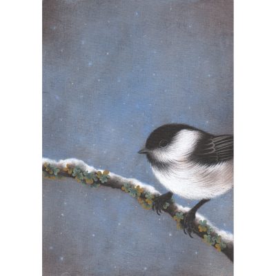 2596C Coal Tit - Louise Crabb