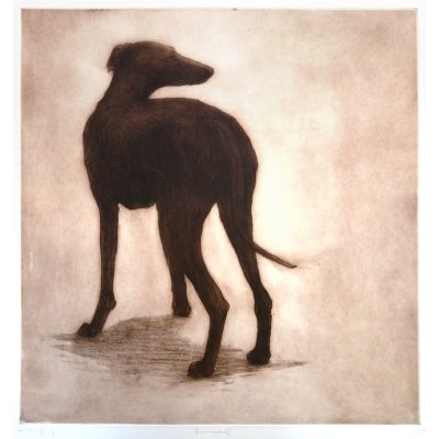 2610C Francesca II 46/55 - Helen Fay