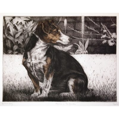 2615C Maisie in the Garden 4/65 - Helen Fay