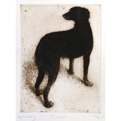 2624C Sinbad 6/45- Helen Fay