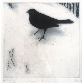 2623C Snowbird II 7/75 – Helen Fay