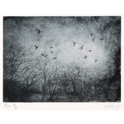 2926C Rise - Ley Roberts