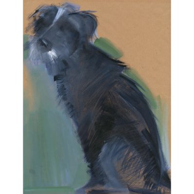 2943C Rough Haired Lurcher Puppy - Sally Muir