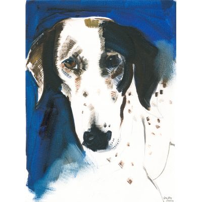 2944C Hound on Blue  - Sally Muir