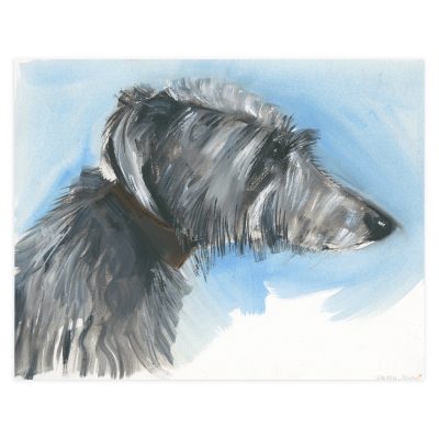 2986C Long Haired Dog Portrait on Blue - Sally Muir