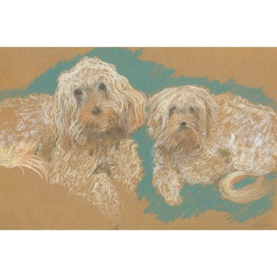 2988C Friends - Sally Muir