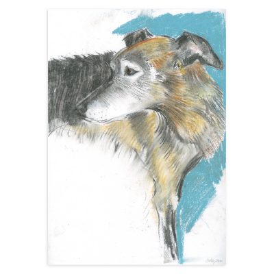2990C Lurcher Glancing Back - Sally Muir