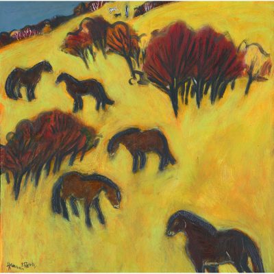 3005C Ponies on the Hill - Hannah Roberts